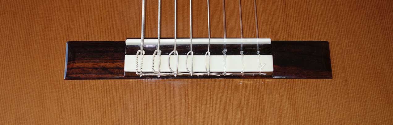 BARTOLEX SRC8 Classical 8-String Harp Guitar w/Silk-Lined Case, Cedar Top