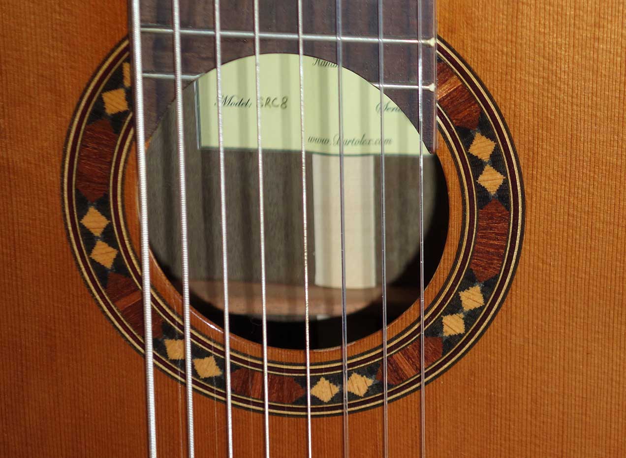 BARTOLEX SRC8 Classical 8-String Harp Guitar w/Silk-Lined Case, Cedar Top