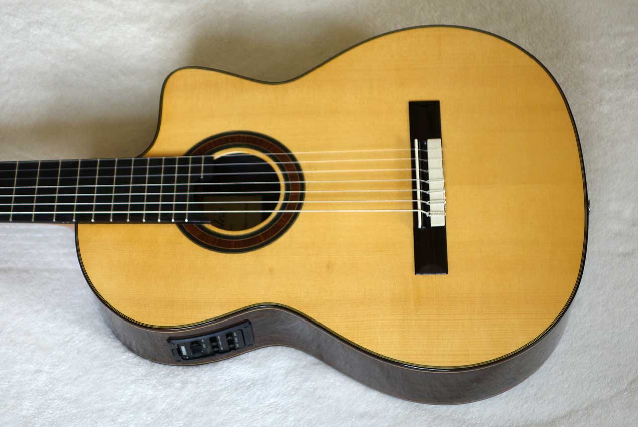 Bartolex SRS7CEL 7-String Classical Harp Guitar w/ Case, Fishman Presys Pickup