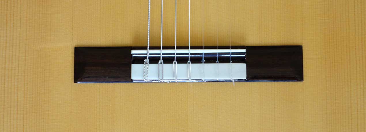 Bartolex SRS7CEL 7-String Classical Harp Guitar w/ Case, Fishman Presys Pickup