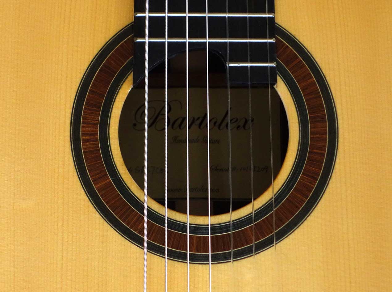 Bartolex SRS7CEL 7-String Classical Harp Guitar w/ Case, Fishman Presys Pickup